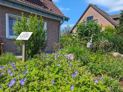 Ferienwohnung für 3 Personen (36 m²) in Kellenhusen 9/10