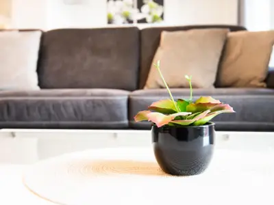 Ferienwohnung für 3 Personen (56 m²) in Kellenhusen 7/10