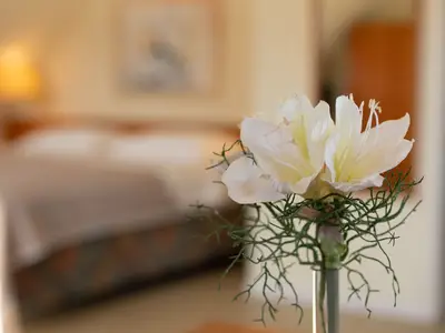 Ferienwohnung für 2 Personen (40 m²) in Kellenhusen 6/10