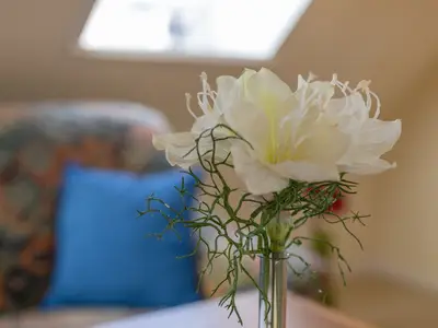 Ferienwohnung für 2 Personen (40 m²) in Kellenhusen 10/10