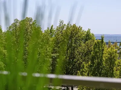 Ferienwohnung für 4 Personen (43 m²) in Kellenhusen 10/10