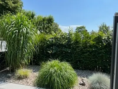 Ferienwohnung für 2 Personen (28 m²) in Kellenhusen 6/10