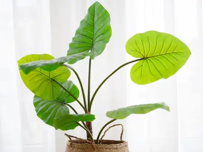 Ferienwohnung für 4 Personen (73 m²) in Kellenhusen 8/10