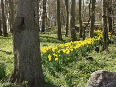 Ferienwohnung für 4 Personen (35 m²) in Kellenhusen 4/10