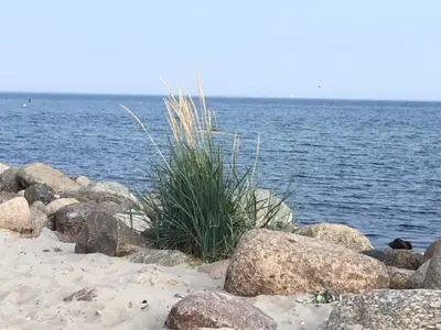 Ferienwohnung für 4 Personen (60 m²) in Kellenhusen 7/10