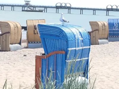 Ferienwohnung für 4 Personen (60 m²) in Kellenhusen 9/10