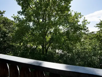 Ferienwohnung für 3 Personen (38 m²) in Kellenhusen 9/10