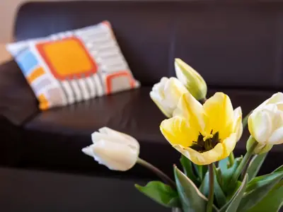 Ferienwohnung für 4 Personen (55 m²) in Kellenhusen 6/10