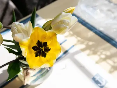 Ferienwohnung für 4 Personen (55 m²) in Kellenhusen 10/10