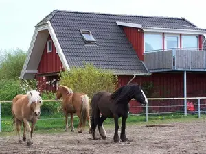 Ferienwohnung für 5 Personen (70 m²) in Kenz-Küstrow