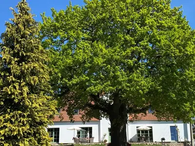 Ferienwohnung für 5 Personen (50 m²) in Küstrow 6/10
