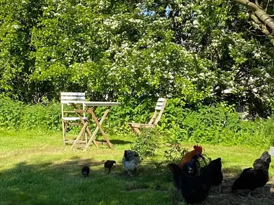 Ferienwohnung für 5 Personen (50 m²) in Küstrow 9/10