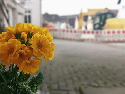 Ferienwohnung für 4 Personen (42 m²) in Kenzingen 2/10