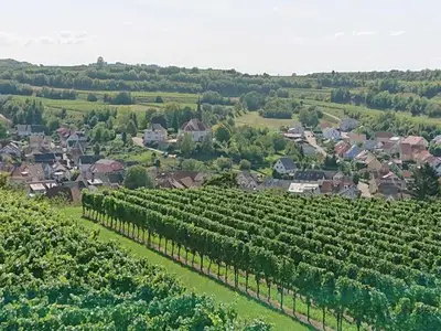 Ferienwohnung für 4 Personen (42 m²) in Kenzingen 3/10