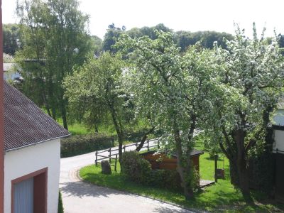 Frühlingserwachen in der Vulkaneifel