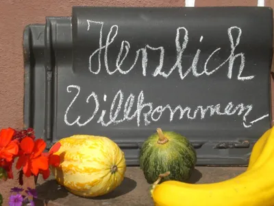 Herzlich Willkommen in der Vulkaneifel