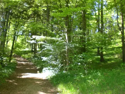 Wanderweg über die  Lay