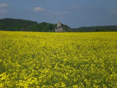 Burg Kerpen im Frühling
