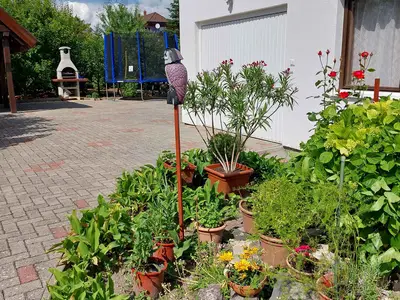 Ferienwohnung für 4 Personen (50 m²) in Keszthely 7/10