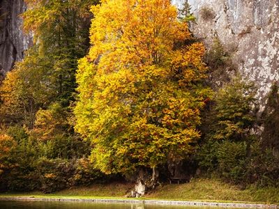 Badesee Luegsteinsee_a.jpg