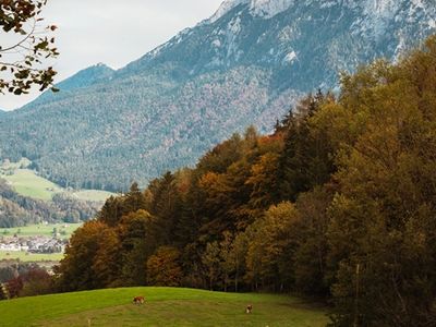 Blick zum Kaisergebirge_a.jpg