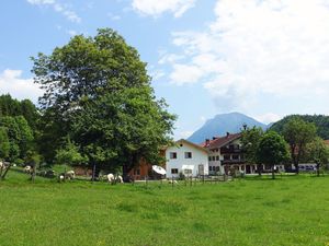 Ferienwohnung für 6 Personen (65 m²) in Kiefersfelden