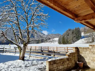 Blick von Terrasse