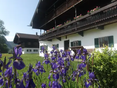 Hausbild