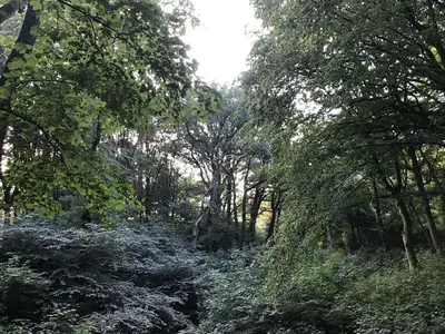 Ferienwohnung für 4 Personen (52 m²) in Kiel 10/10