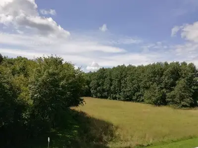 Ferienwohnung für 2 Personen (33 m²) in Kiel 8/10