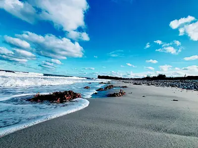 Ferienwohnung für 6 Personen (78 m²) in Kiel 7/10