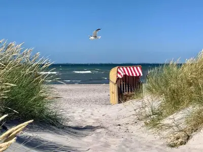 Ferienwohnung für 6 Personen (78 m²) in Kiel 9/10