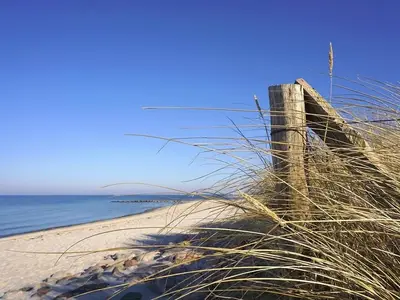 Ferienwohnung für 8 Personen (138 m²) in Kiel 9/10
