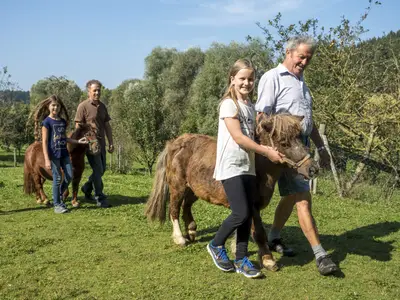 Gerne dürft Ihr auf unserer Lara reiten.