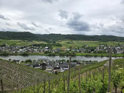 Moselblick Kinheim