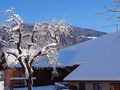 Ferienwohnung für 6 Personen (67 m²) in Kirchbach im Gailtal 4/10