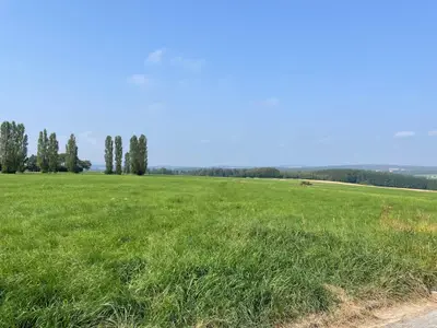 Ausblick Ende der Straße