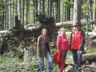 Wandern im Nationalpark