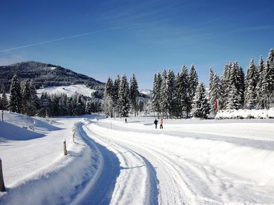 Ferienwohnung für 4 Personen (75 m²) in Kirchberg in Tirol 5/10