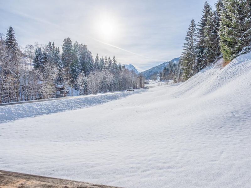 23896316-Ferienwohnung-6-Kirchberg in Tirol-800x600-2