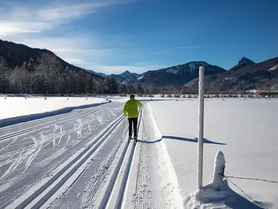 AreaWinter5KM