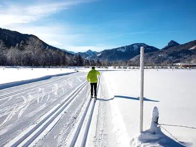 AreaWinter5KM