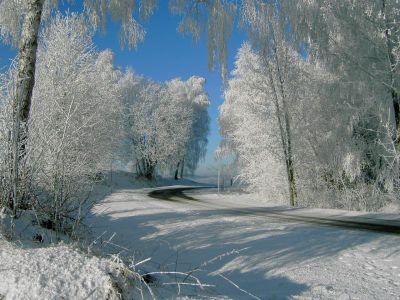 Winterweg ins Dorf Schlag