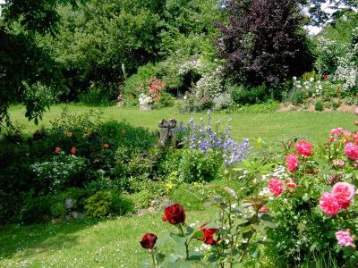 Blick in den Garten