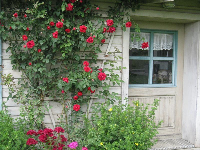 22138669-Ferienwohnung-3-Kirchdorf im Wald-800x600-2