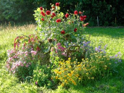 naturnaher Garten