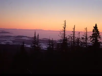 Blick über die Berge des Bayerischen Waldes