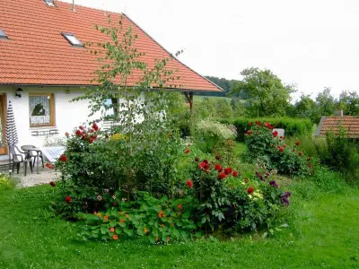 Terrasse und angrenzende Wiese