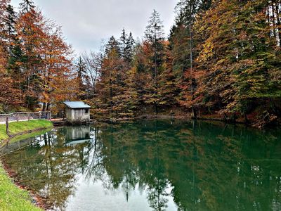 Schusterhof - Kirchdorf in Tirol