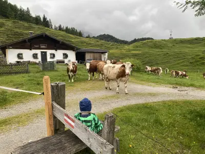Schusterhof - Kirchdorf in Tirol